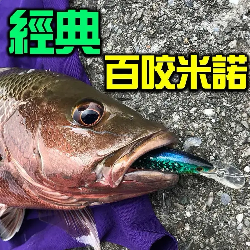 侍魂米諾 70mm